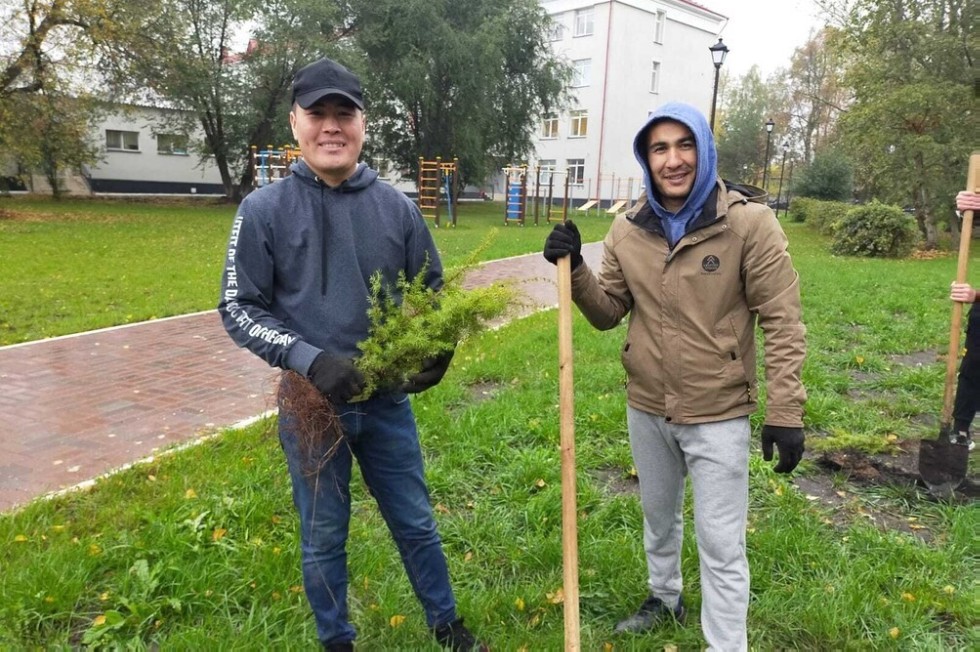 Саженцы в обмен на вторсырье Саженцы в обмен на вторсырье