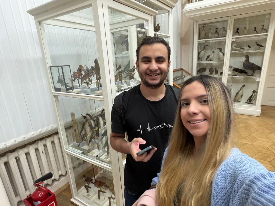 ����������� � ���� ���������, ��� ����� �����������