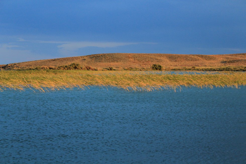 ����� ������