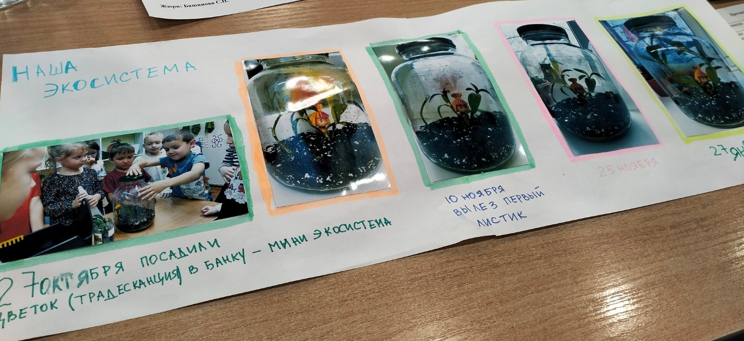 ��� � ������� ���� �������� ���� ���������� ����� ,������������, ���� ����������� ��������, ������������������ ������