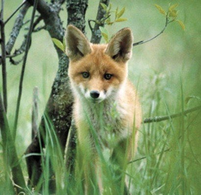 11 ������ - ������������� ���� ������������ � ������������ ������