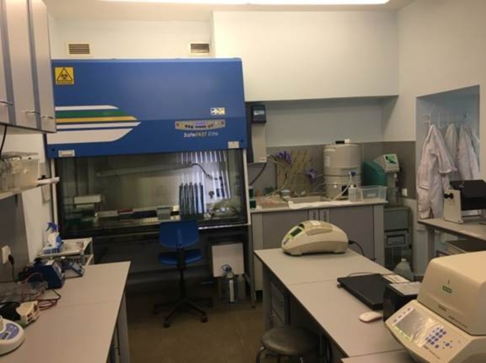 Оборудование Оборудование