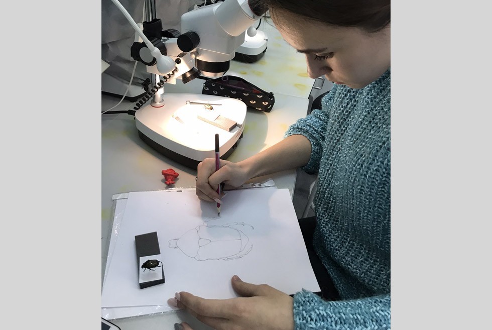 Финал уходящего года зоомузей университета отметил очередным мероприятием Финал уходящего года зоомузей университета отметил очередным мероприятием