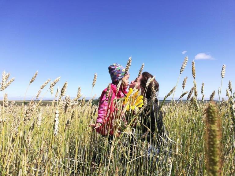 ����� ������������ 