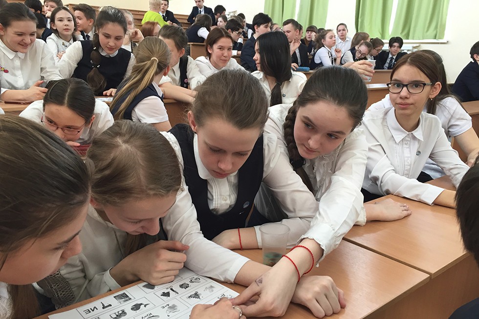 �������� ������� ����������� ����������� ��������� ��������� ������ �� ������ �������������� ����������