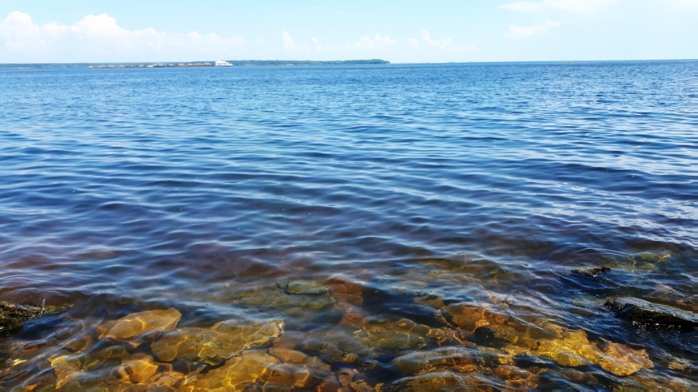 ������ - '����������' (2018�.)