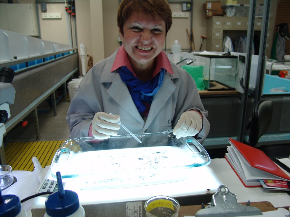 ��������� ������� ���������� �������� ������� ��������� ������ ���������� � ������-����������������� ������ ������ ���������� ����� ������������� ������ ���