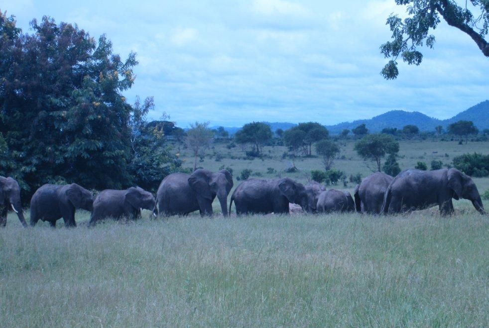 � 11 ����� �� 2 ������ ���������� ���������� ������������� � ��������� ��������� �� ����� ������� � ��������.