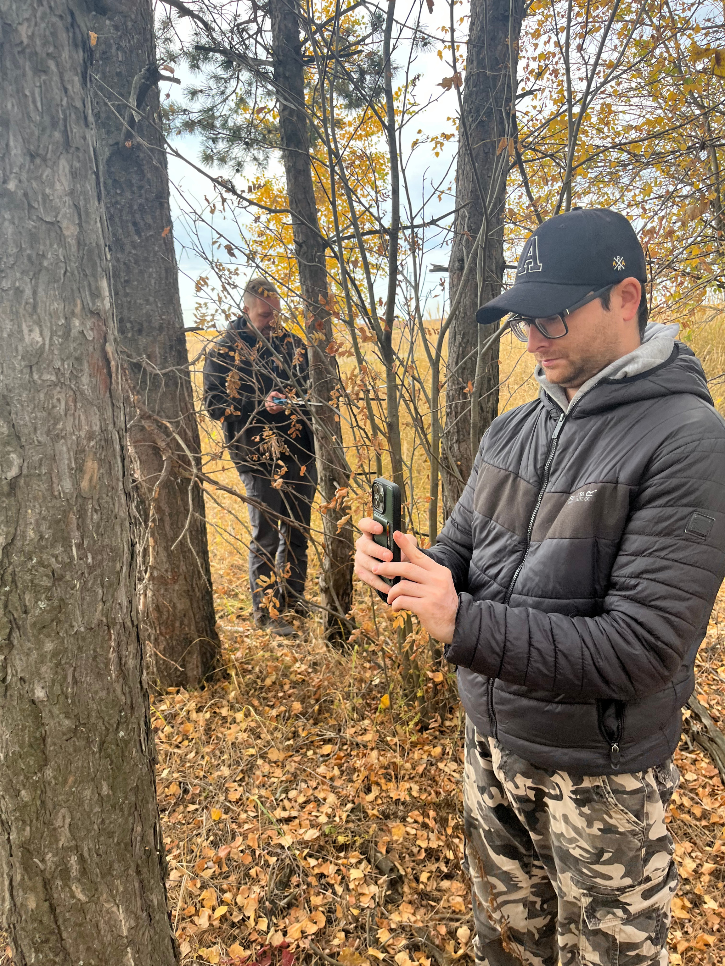 Оценка скорости прироста биомассы разновозрастных лесополос Оценка скорости прироста биомассы разновозрастных лесополос