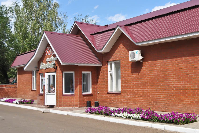 Кафе 'Сытый студент' Кафе 'Сытый студент'