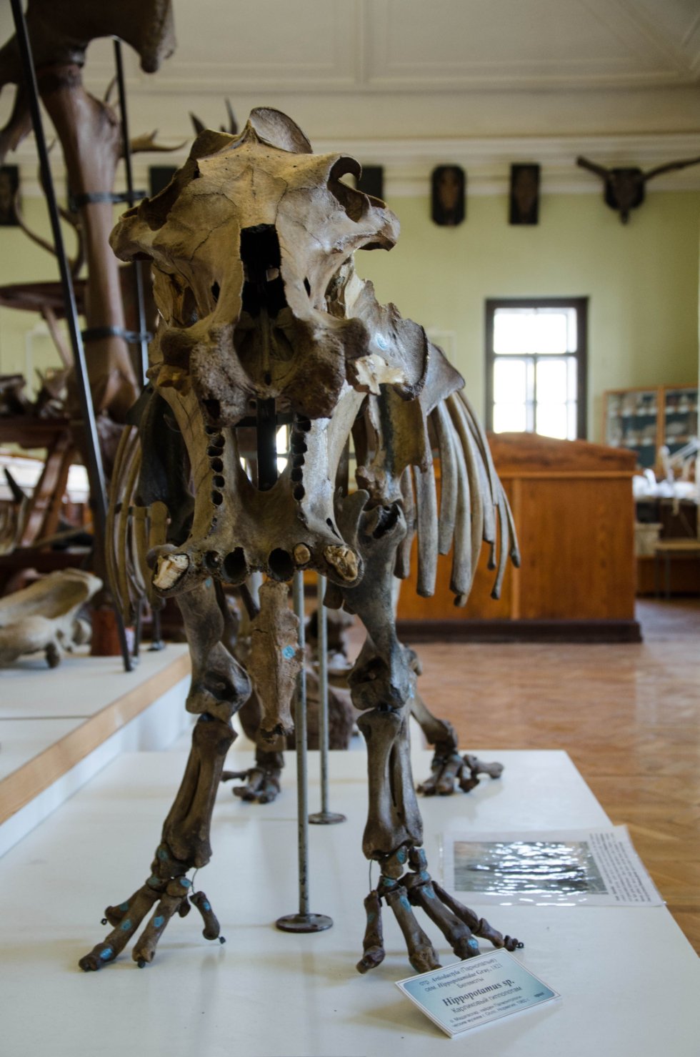 Collections History Collections History