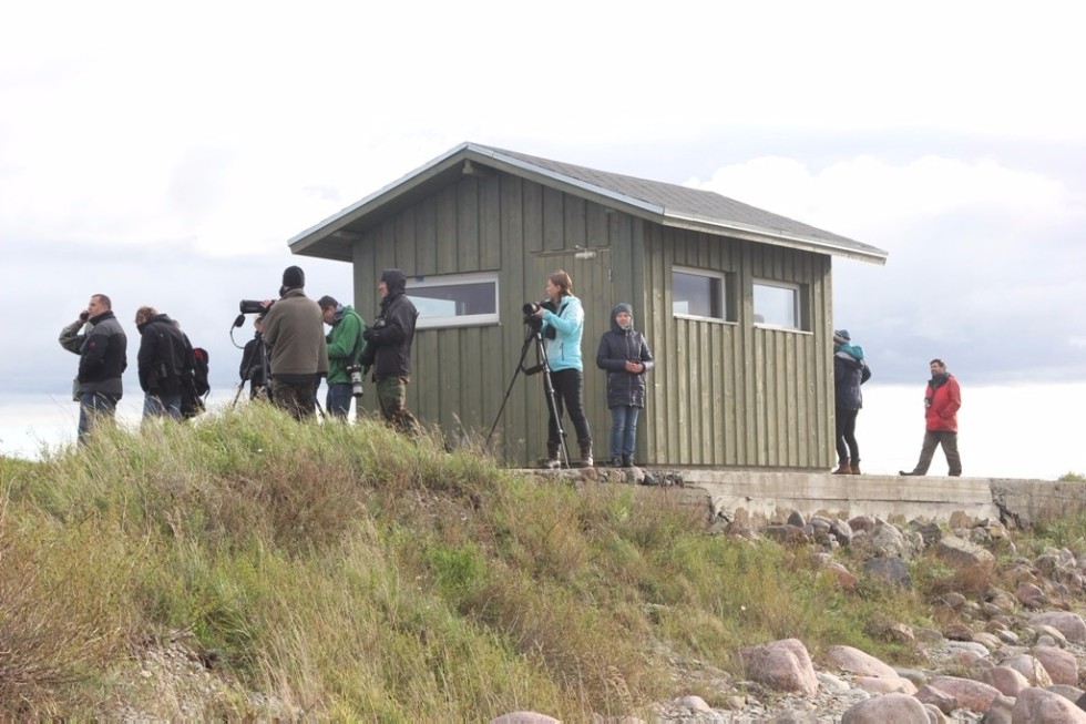 �� ����������� '�����-��������� 2017' � ������� �������� ������ ����������� ��������� ���