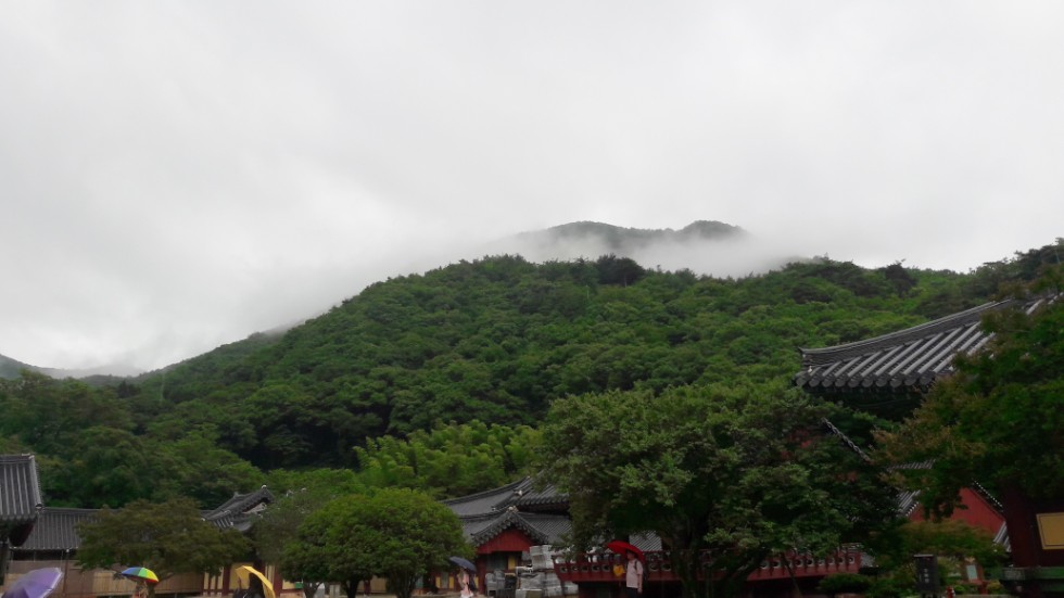 ����� ���������� ���������� �� 11� ������ �� ��������� 