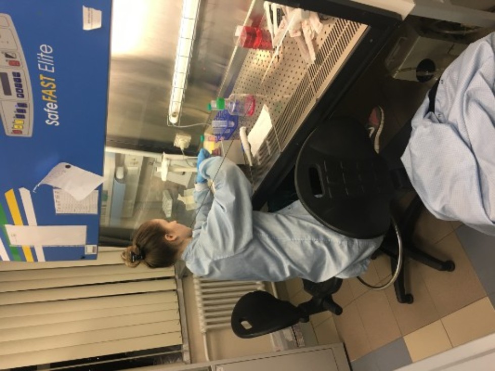 ������ ���