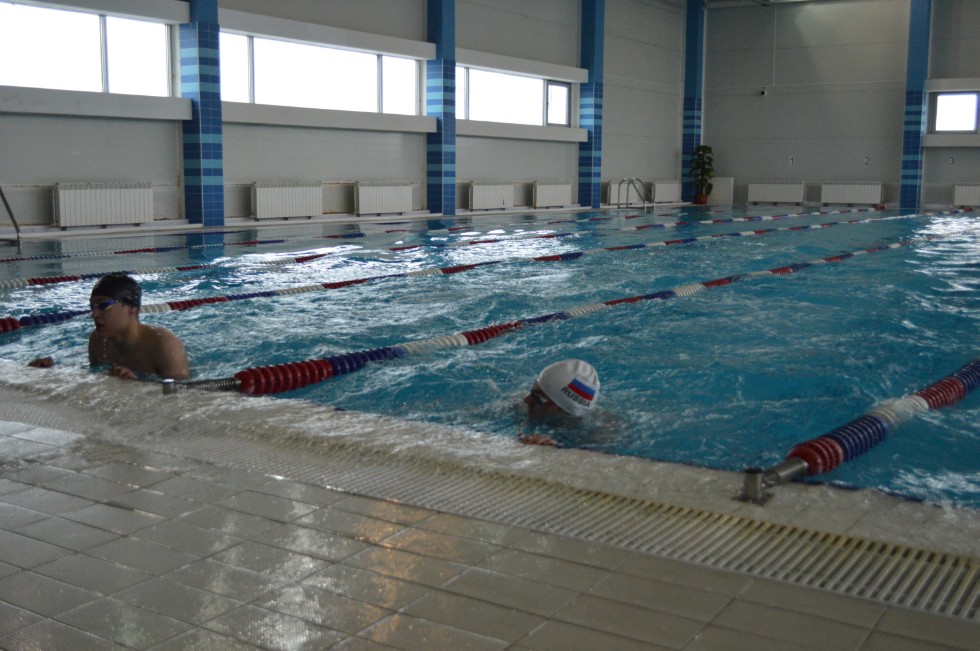 � �������� ���� - �������� ���