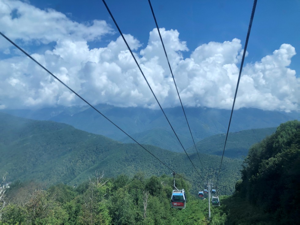 ������������� ������� ����������� 