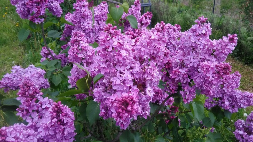 ��������� � ������������ ����