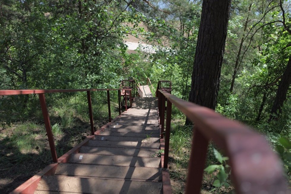 ���������-��������������� ������ '�����������'