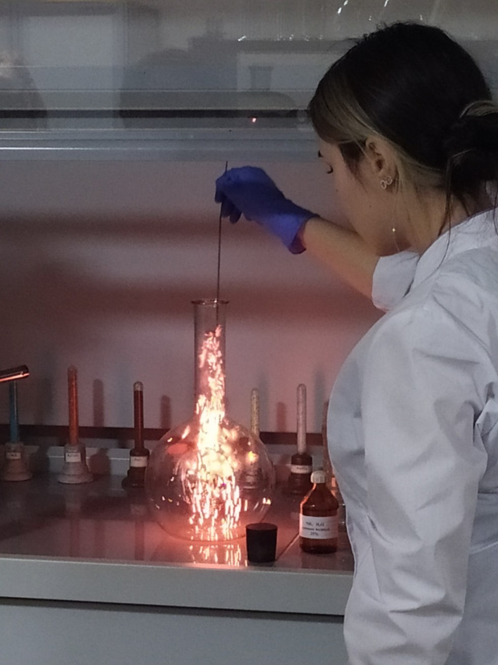 �������� ������� ����������� ����������� ������� ������� � ������� 'PRO����� � ���: ���� �������'