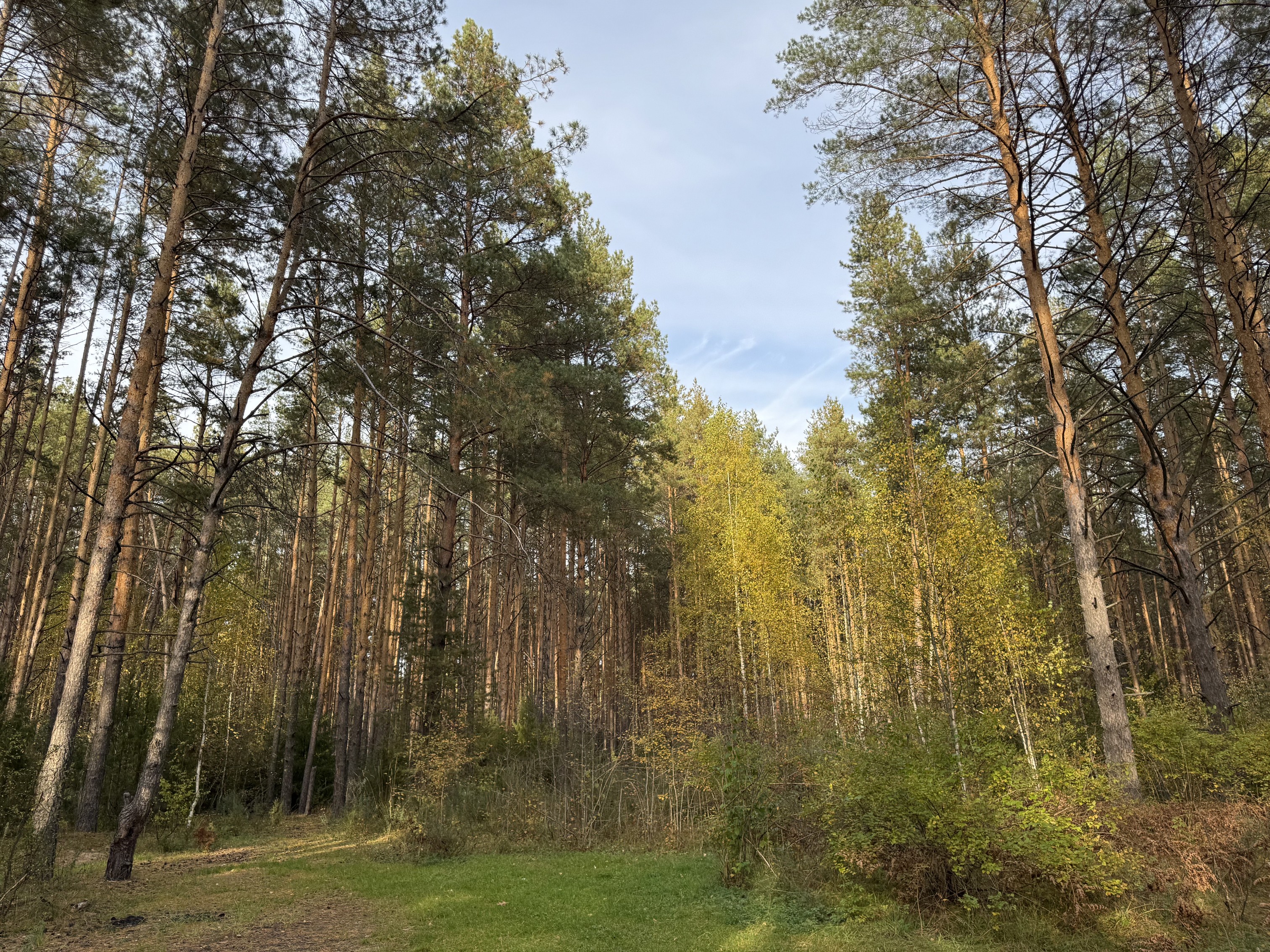 '��� � ��������� ����'?..