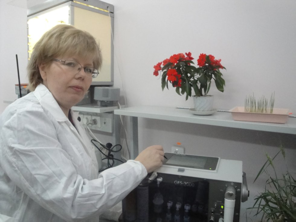 �����������-����������� ����������� �������� ��������