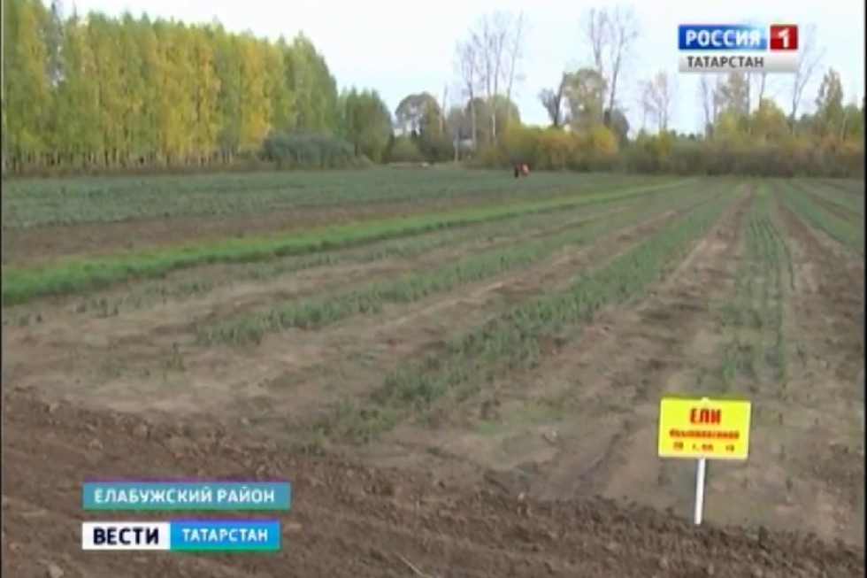 ����������� '������' �� ��������-������ 2018 �.