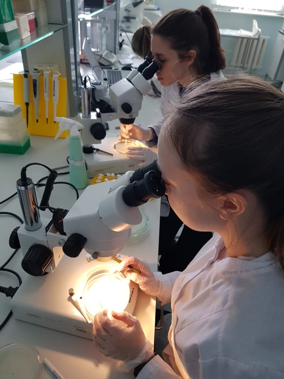 ������ ���