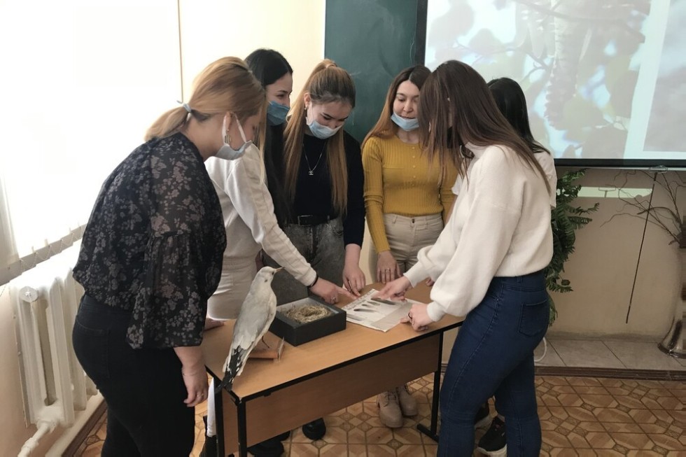 1 ������ ? ������������� ���� ����