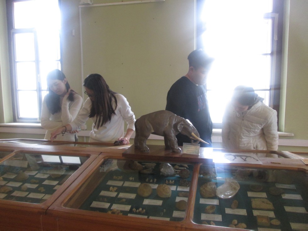 ����������� �������� �������� ����� ���