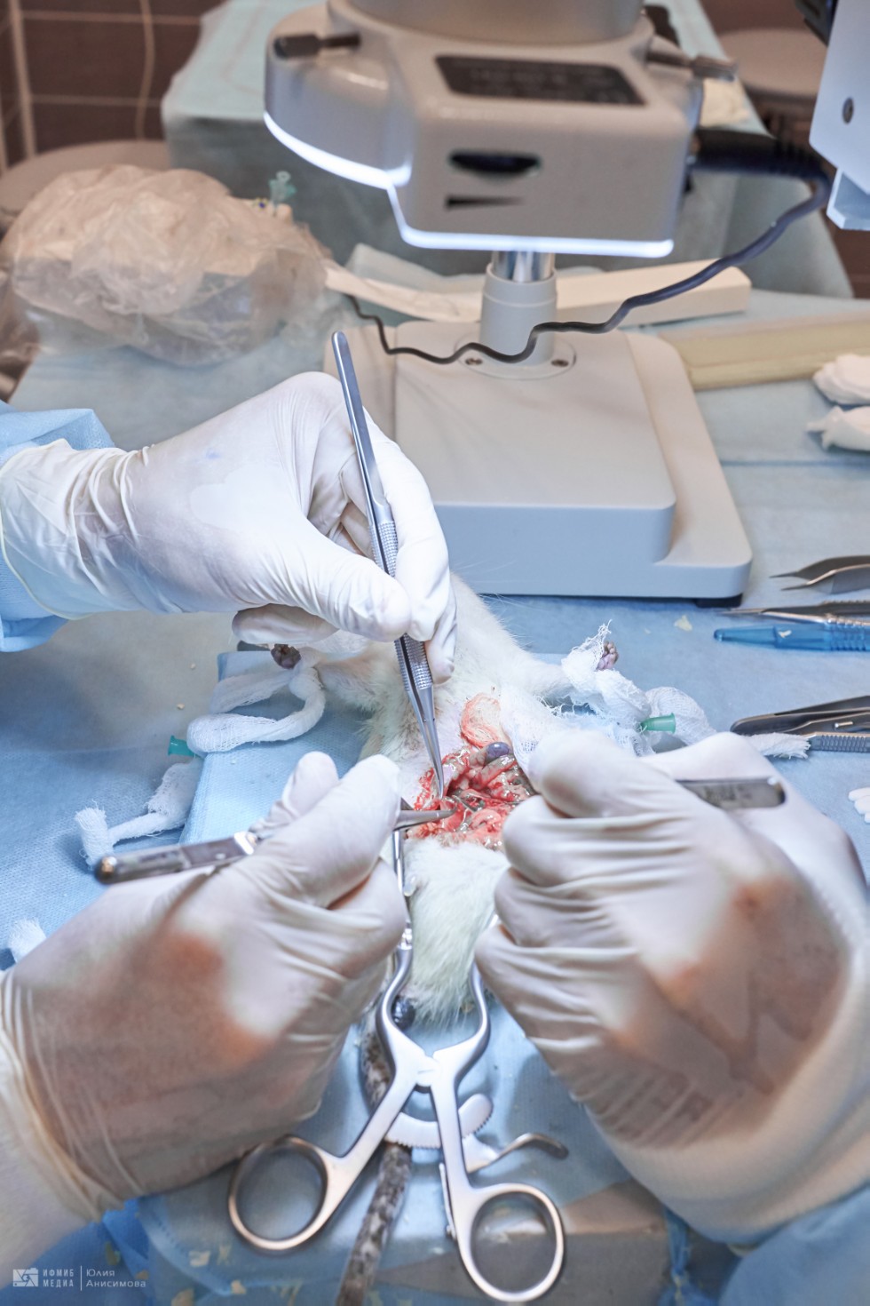 ����������