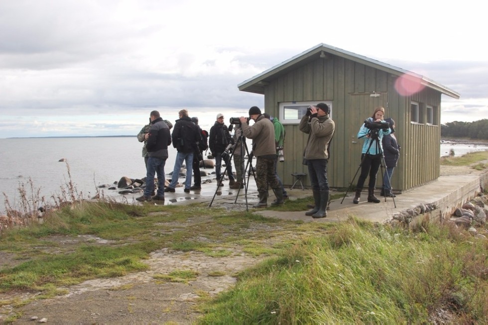 Elabuga Institute scientist took part in a Conference White-tailed Sea Eagle 2017 in Estonia