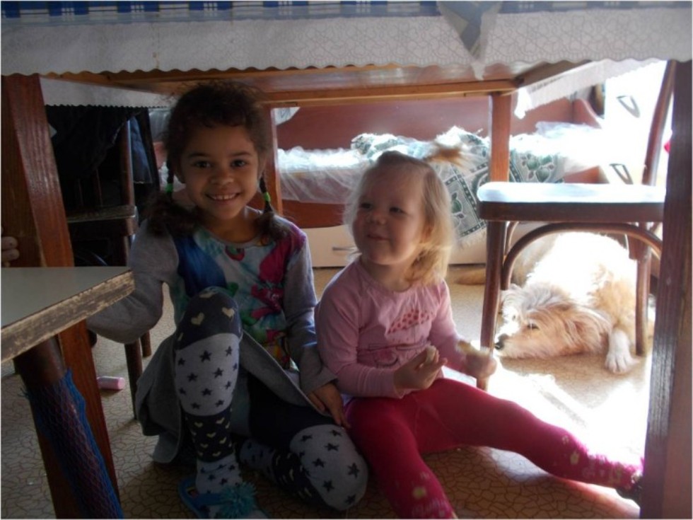 ����� ���������: '������� ������ ���?'