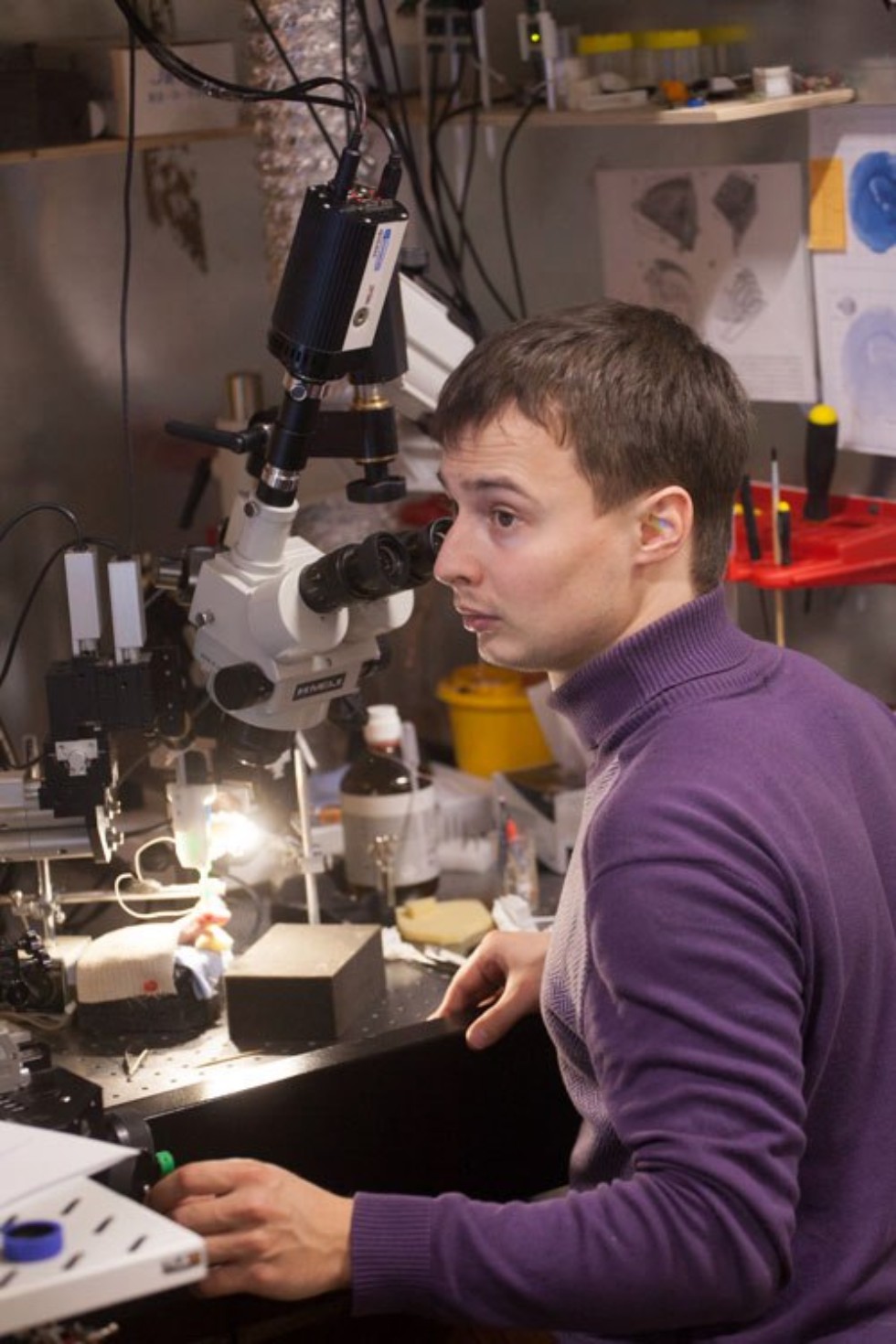 Учебный процесс Учебный процесс