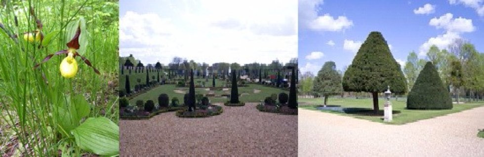 Учебный процесс Учебный процесс