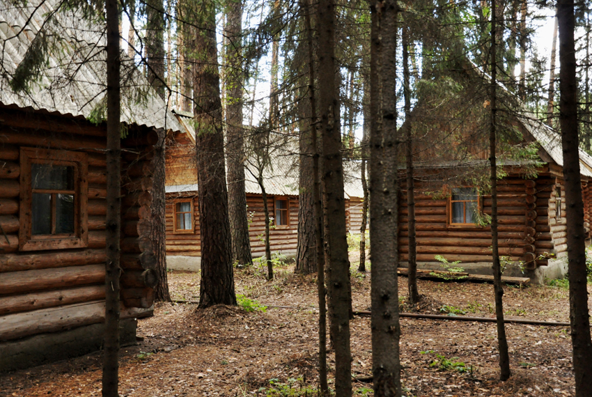 �����������