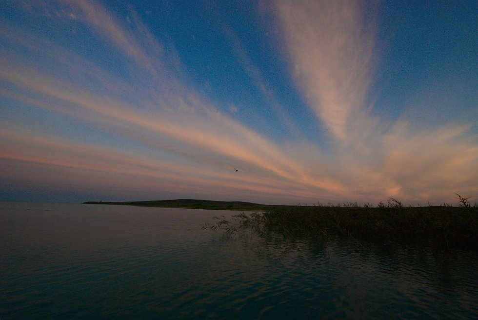 ����� ������