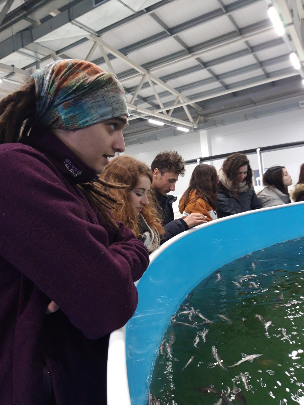 ������ � ����� ��������� ��������� � ����������