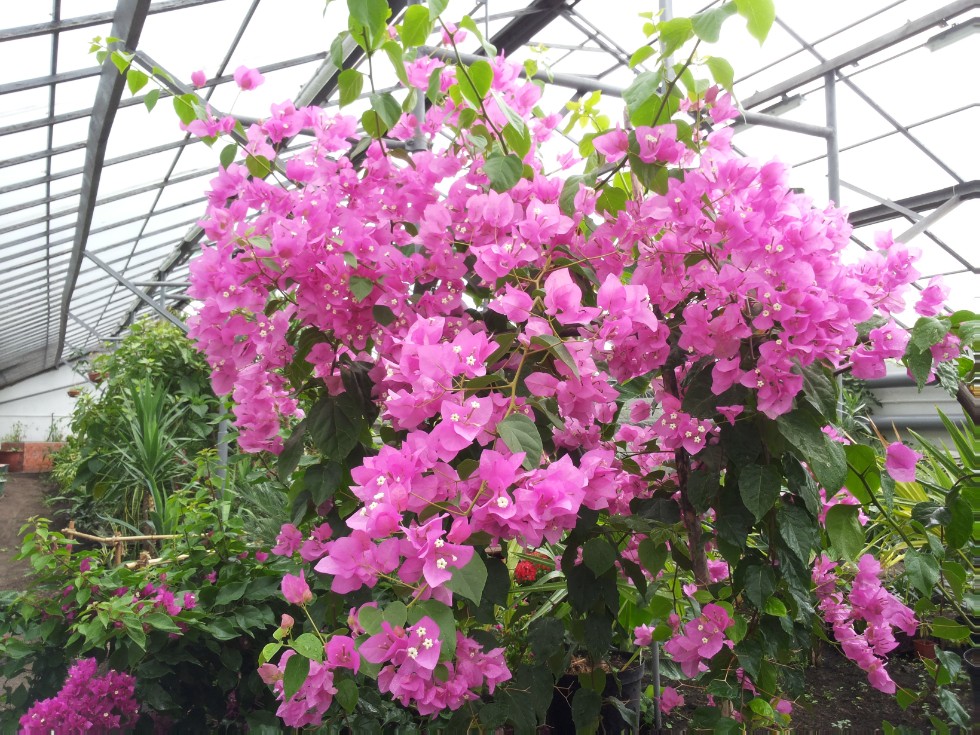 ���������� ��������