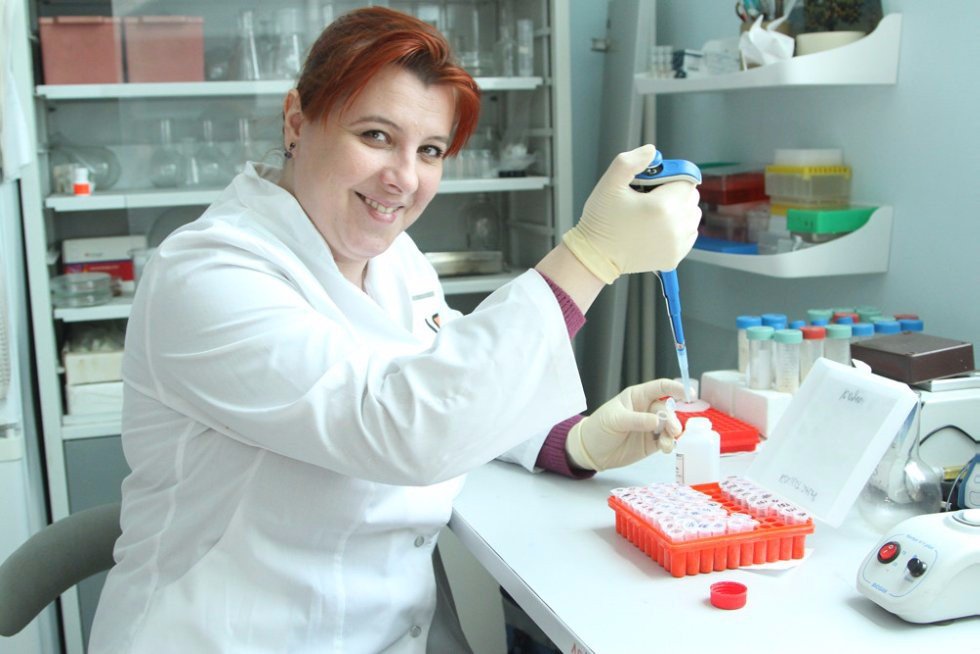 What is behind the DNA?