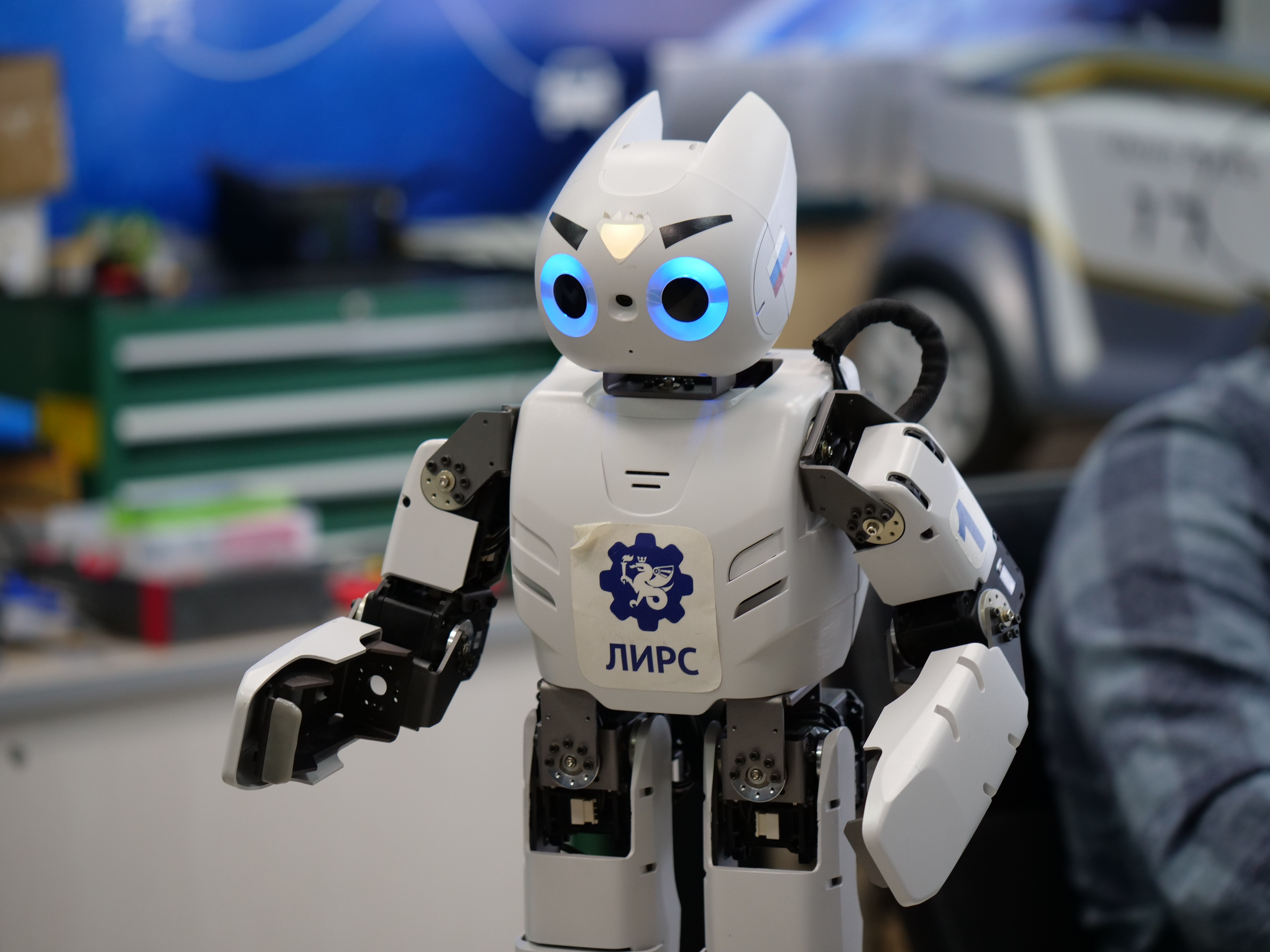 � ���� ������ ��������� ��� ����������������