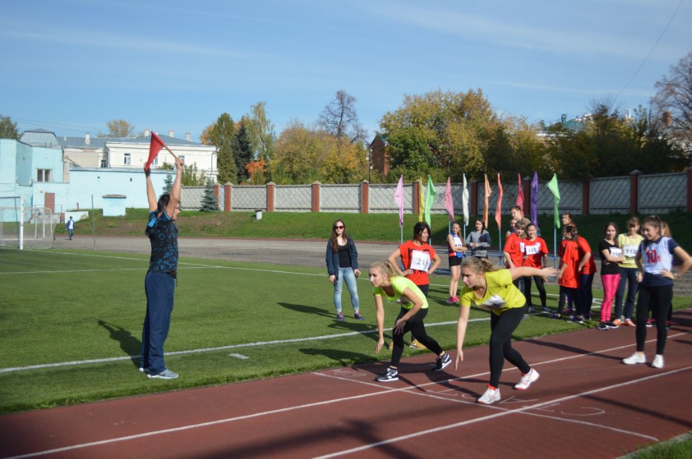 ����������� ����������� ��������������