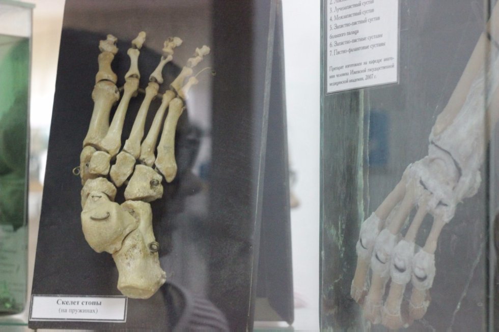 '��������' ����� ���������-���������