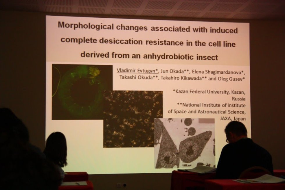 ����� ����������� ��� '������������� ����� � ���������' ������� �� ������������� �������