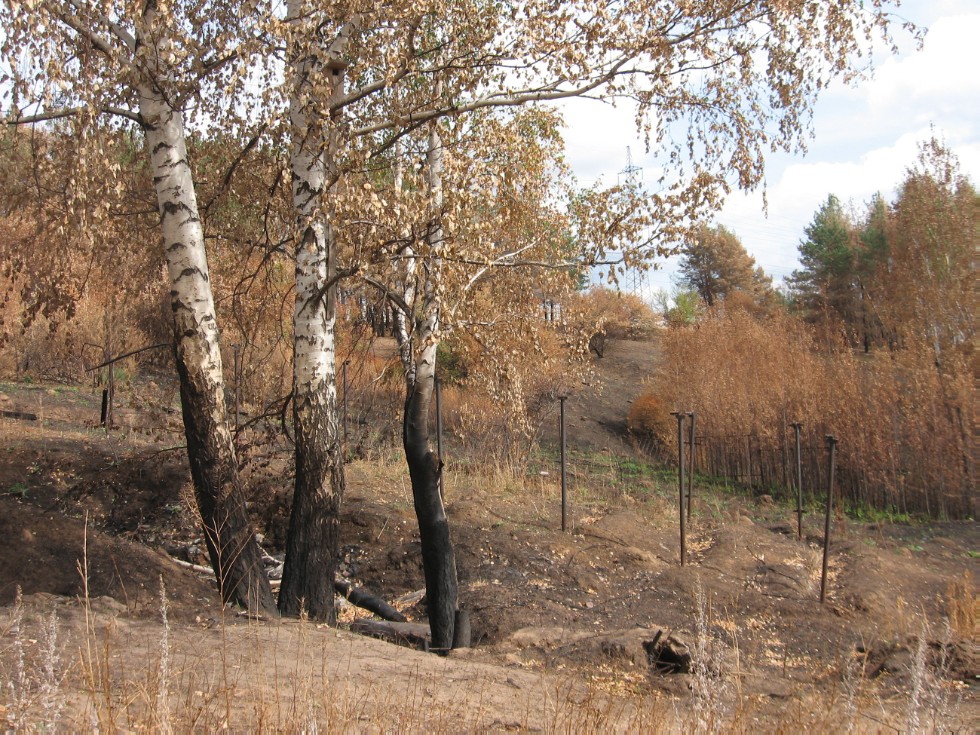 ������������ ��� �(�)��