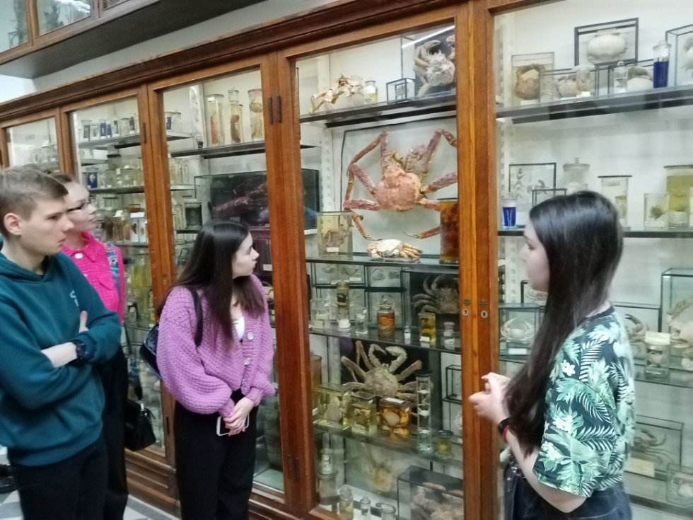 Поход в зоологический музей Поход в зоологический музей