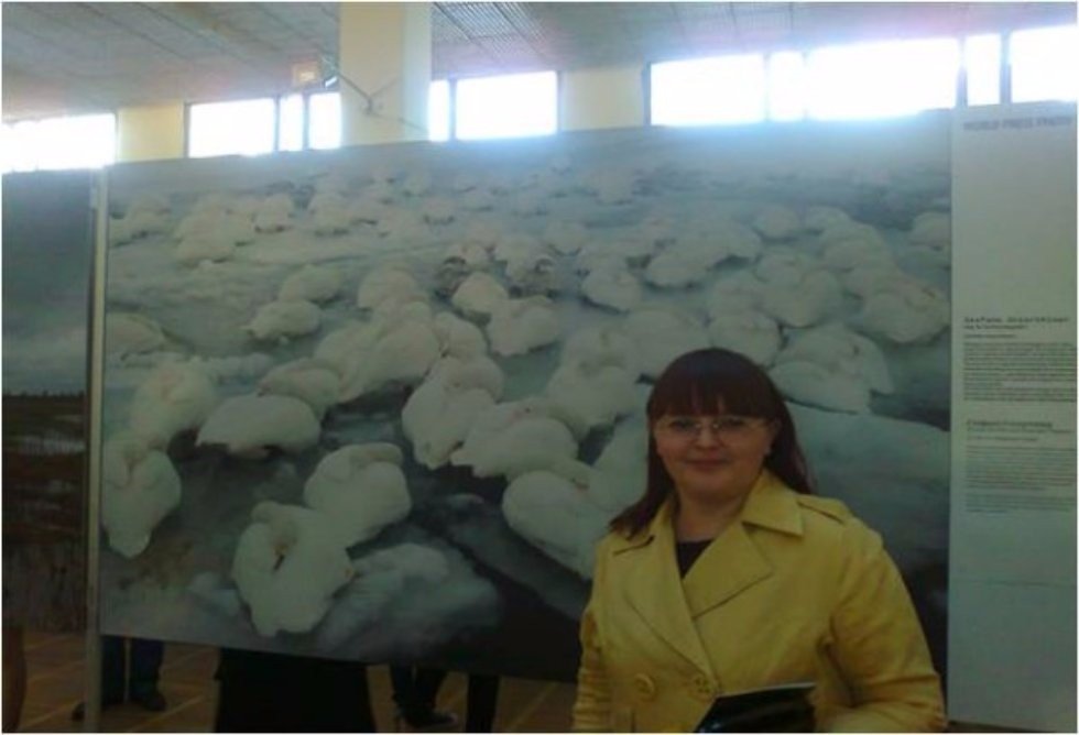 ����������� ������������ ?��� '�����������' ����������