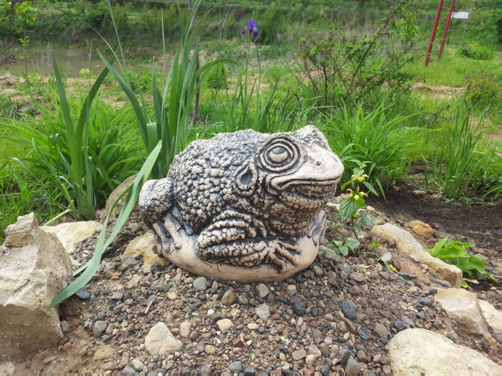 ���������� ��������