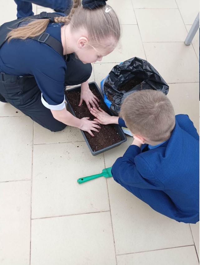 Катарантусы и нимфеи: школьники начали новый проект в теплице 'Университетской' школы Катарантусы и нимфеи: школьники начали новый проект в теплице 'Университетской' школы