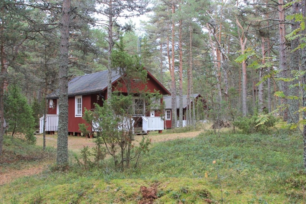 �� ����������� '�����-��������� 2017' � ������� �������� ������ ����������� ��������� ���