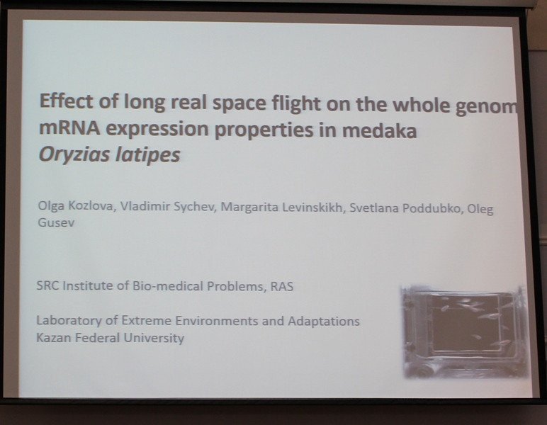 KFU researcher reported on fish trans�criptomics at COSPAR